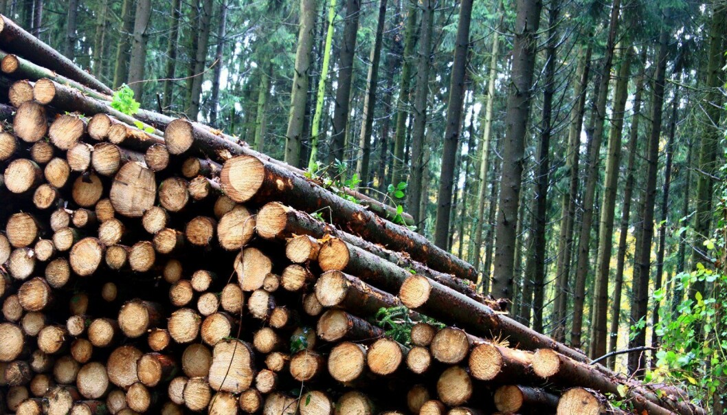Uegnet modell for skogbasert bioenergi