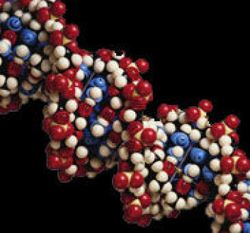 "Bevis kan ligge skjult i DNAet."