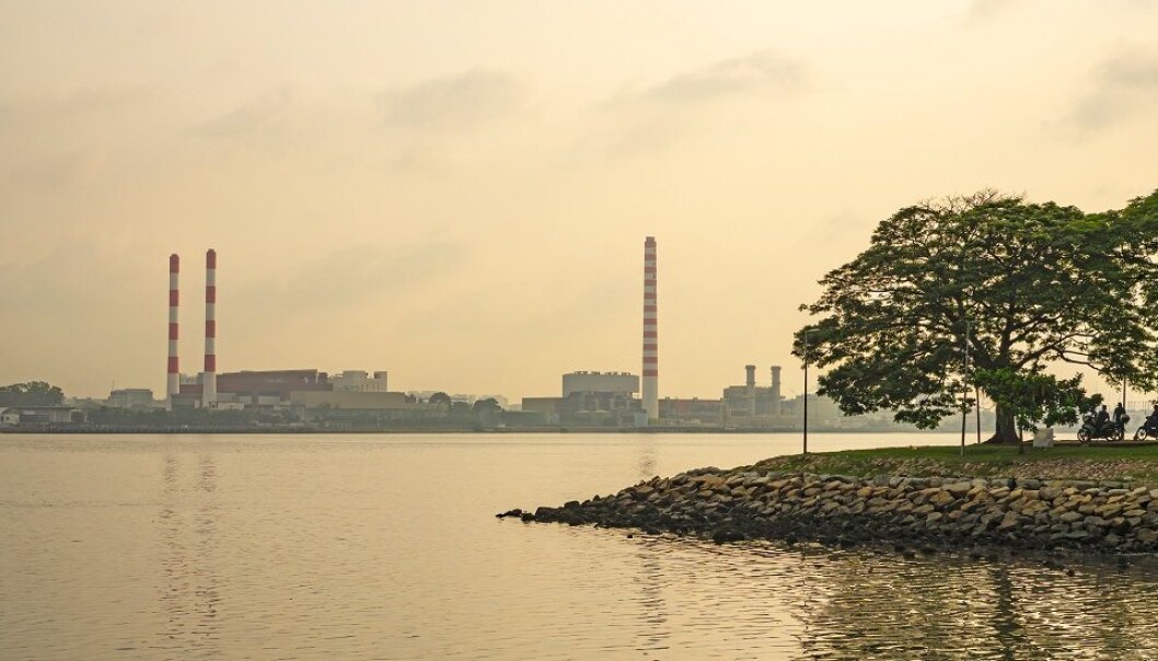 Membranes have become a promising candidate for technologies needed for carbon capture. All that was needed was a little water. Membranes have become a promising candidate for technologies needed for carbon capture. All that was needed was a little water.