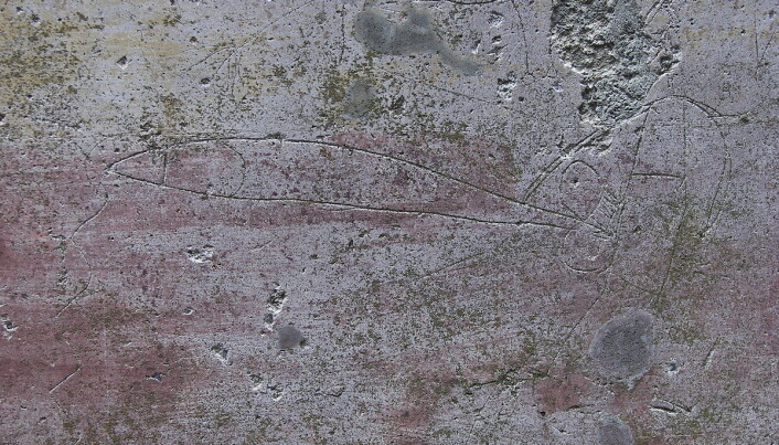 Denne graffitien fra antikkens Pompeii skal vise en mann med abnormt stort understell. Disse tegningene fungerte som ondt-avvergende symboler, ifølge forsker. Denne graffitien fra antikkens Pompeii skal vise en mann med abnormt stort understell. Disse tegningene fungerte som ondt-avvergende symboler, ifølge forsker.