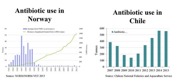 Til venstre ser vi at medan antibiotikabruken i Noreg har vore låg heilt frå starten av 90-talet, går utviklinga i Chile i ei anna og uynskt retning. Til venstre ser vi at medan antibiotikabruken i Noreg har vore låg heilt frå starten av 90-talet, går utviklinga i Chile i ei anna og uynskt retning.