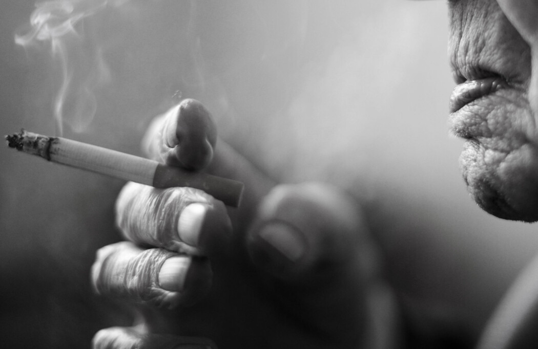 De siste 20 årene er andelen dagligrøykere i Norge halvert blant personer over 45 år. Det vil ha betydning for forekomsten av røykerelaterte sykdommer og dødsfall i mange år framover, ifølge Folkehelseinstituttet. De siste 20 årene er andelen dagligrøykere i Norge halvert blant personer over 45 år. Det vil ha betydning for forekomsten av røykerelaterte sykdommer og dødsfall i mange år framover, ifølge Folkehelseinstituttet.