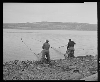 Dette bildet fra Nasjonalbibliotekets bildesamling viser fiske i Mjøsa. Dette bildet fra Nasjonalbibliotekets bildesamling viser fiske i Mjøsa.