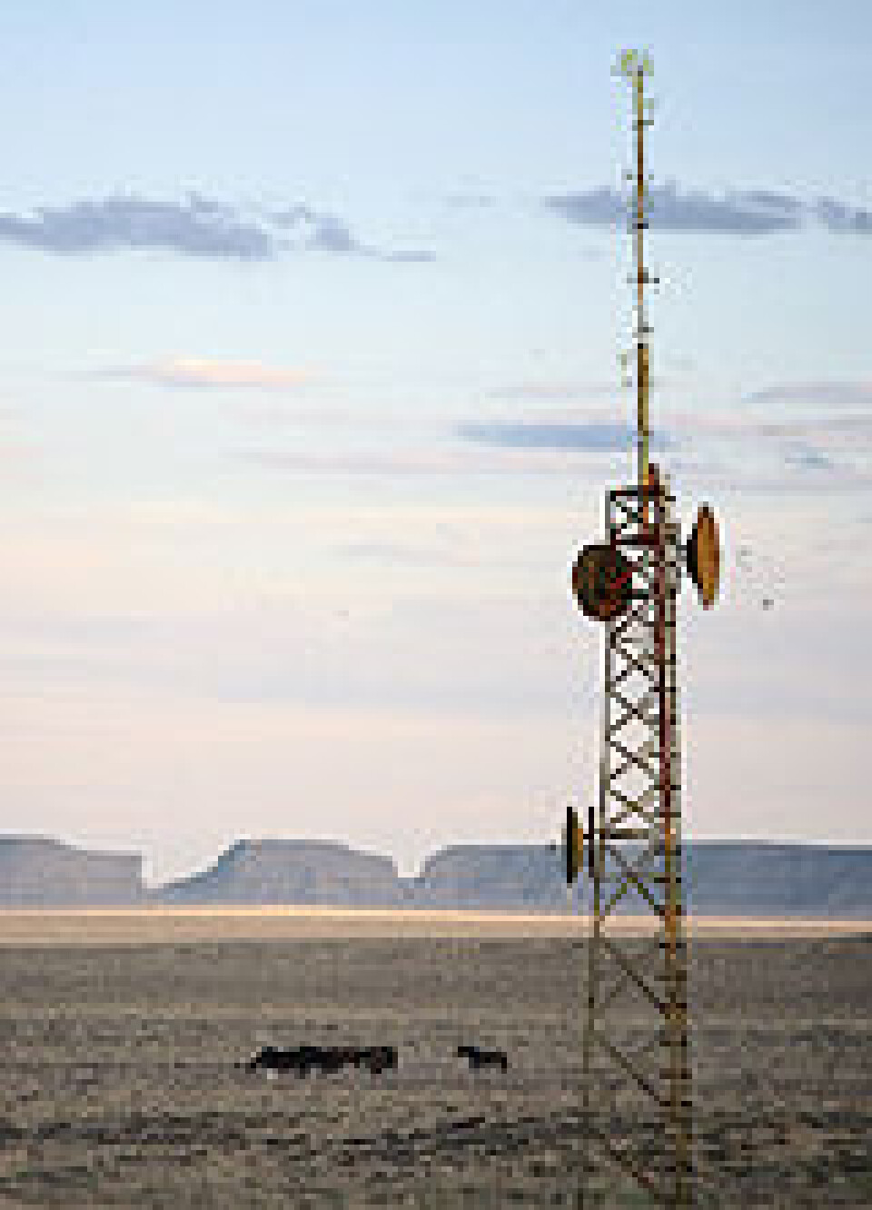 'Perfekt sted for en DRM-sender?'
