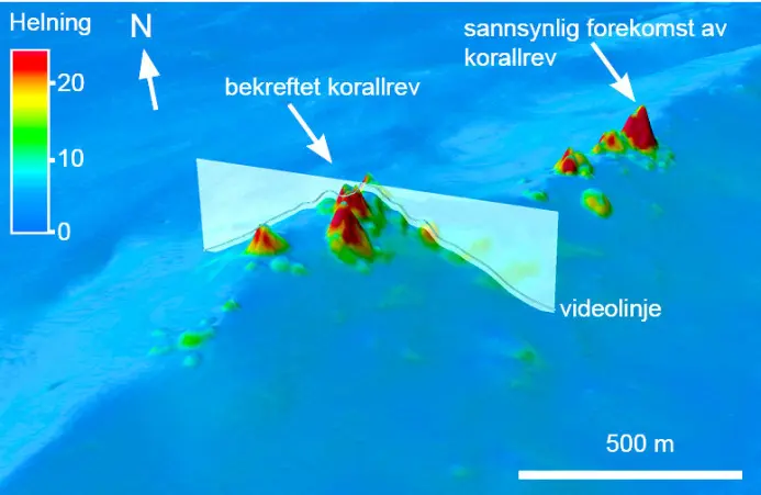 Slik ser det ut når forskerne finner korallrev på havdypet utenfor Norge. Om lag halvparten av de 200 000 forekomstene anses å ha høy pålitelighet. Slik ser det ut når forskerne finner korallrev på havdypet utenfor Norge. Om lag halvparten av de 200 000 forekomstene anses å ha høy pålitelighet.