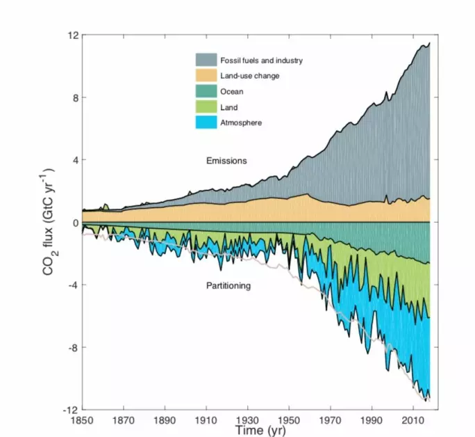 CO2 i utslipp og opptak for 2019.