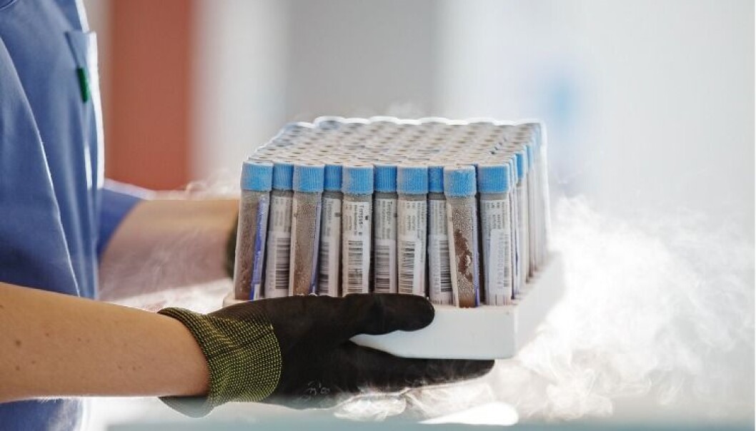 Blodprøver fra HUNT ble brukt i studien som viser at proteiner i blodet kan avsløre sykdom og risiko for sykdom. Blodprøver fra HUNT ble brukt i studien som viser at proteiner i blodet kan avsløre sykdom og risiko for sykdom.