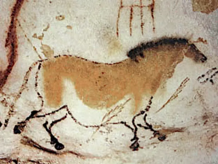 Her er maleriet av en hest i en fransk grotte.