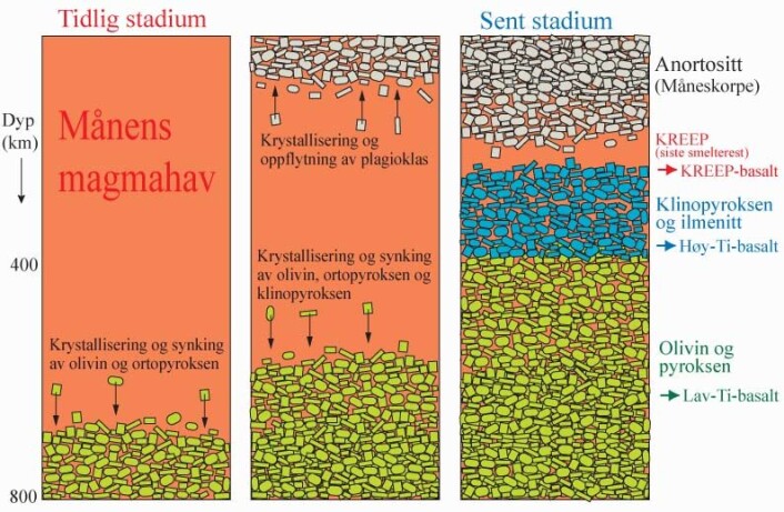 Figuren illustrerer krystalliseringen av det tidlige magmahavet på månen (cirka 100 millioner år etter Solsystemets begynnelse). Det venstre panelet viser den tidlige krystalliseringen av mineralene olivin og ortopyroksen som synker til bunns. Midtpanelet viser at plagioklaskrystaller har begynt å krystallisere, sammen med tunge krystaller av olivin og pyroksen. Plagioklas, som er lettere enn smeltemassen, flyter opp og danner en tykk skorpe av bergarten anortositt. Det høyre panelet viser et sent stadium der den gjenværende smelten er blitt anriket på kalsium og titan slik at et grunt lag med hovedsakelig klinopyroksen og ilmenitt har krystallisert. Etter dette er det kun en liten mengde restsmelte igjen. Denne størkner til mantelbergarten KREEP som er sterkt anriket på kalium (K), sjeldne jordarter (Rare Earth Elements, REE) og fosfor (P). De tre hovedtypene av marebasalter: lav-titan-, høy-titan- og KREEP-basaltene er senere dannet ved deloppsmelting av henholdsvis olivin-pyroksen-dominerte, klinopyroksen-ilmenitt-dominerte og KREEP-dominerte partier av Månens mantel. (Ill: Reidar G. Trønnes) Figuren illustrerer krystalliseringen av det tidlige magmahavet på månen (cirka 100 millioner år etter Solsystemets begynnelse). Det venstre panelet viser den tidlige krystalliseringen av mineralene olivin og ortopyroksen som synker til bunns. Midtpanelet viser at plagioklaskrystaller har begynt å krystallisere, sammen med tunge krystaller av olivin og pyroksen. Plagioklas, som er lettere enn smeltemassen, flyter opp og danner en tykk skorpe av bergarten anortositt. Det høyre panelet viser et sent stadium der den gjenværende smelten er blitt anriket på kalsium og titan slik at et grunt lag med hovedsakelig klinopyroksen og ilmenitt har krystallisert. Etter dette er det kun en liten mengde restsmelte igjen. Denne størkner til mantelbergarten KREEP som er sterkt anriket på kalium (K), sjeldne jordarter (Rare Earth Elements, REE) og fosfor (P). De tre hovedtypene av marebasalter: lav-titan-, høy-titan- og KREEP-basaltene er senere dannet ved deloppsmelting av henholdsvis olivin-pyroksen-dominerte, klinopyroksen-ilmenitt-dominerte og KREEP-dominerte partier av Månens mantel. (Ill: Reidar G. Trønnes)