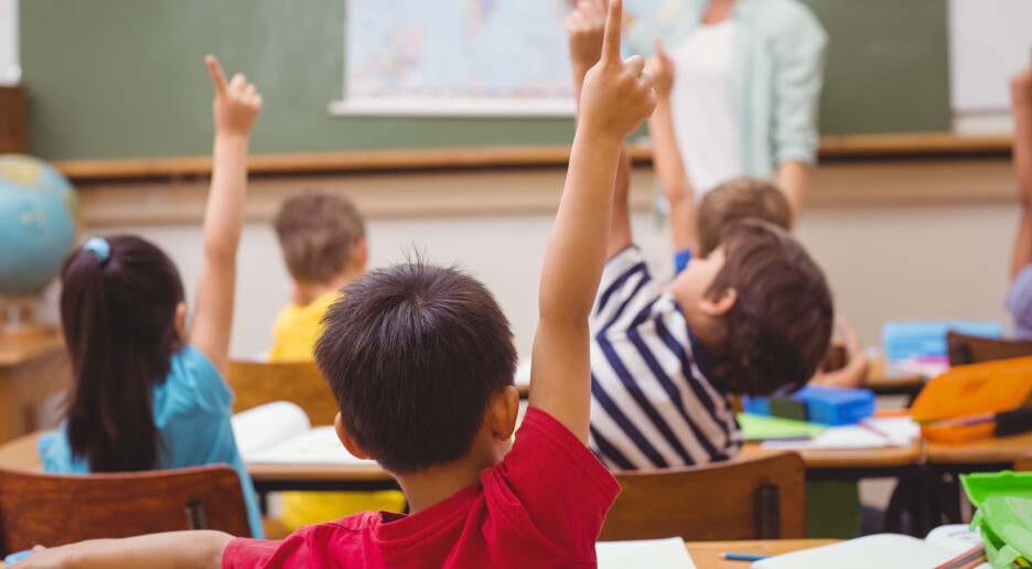 Nye læreplaner i skolen bygger ikke på Norges menneskerettslige forpliktelser