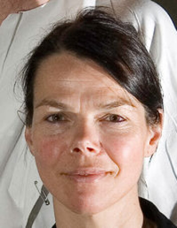 "Linda Hildegard Bergersen, Universitetet i Oslo" "Linda Hildegard Bergersen, Universitetet i Oslo"