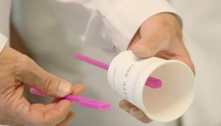 Med eit sugerøyr og ein kopp kan du lage dette eksperimentet.