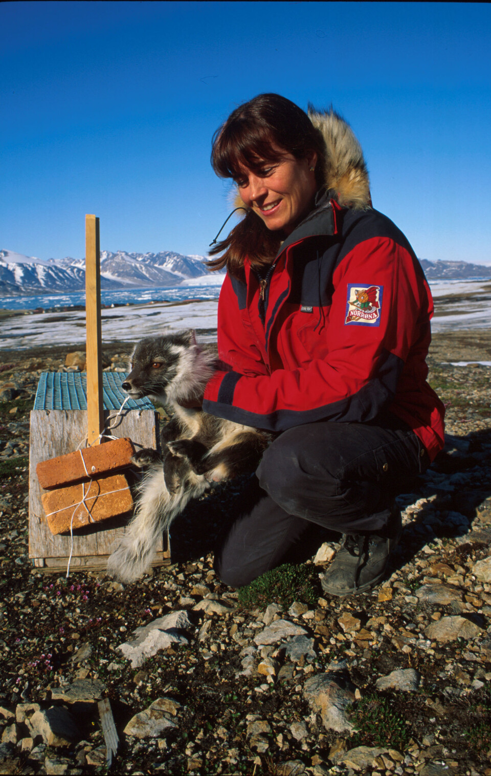 Forsker Eva Fuglei ved Norsk Polarinstitutt. (Foto: Eva Fuglei)