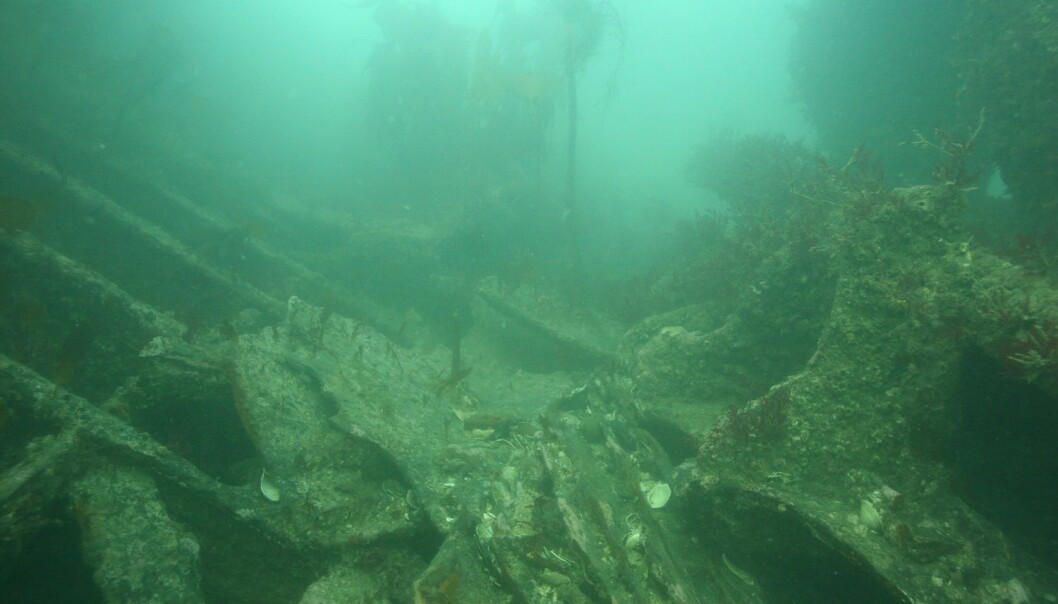 Det dampdrevne passasjerskipet Phønix sank utenfor Island vinteren 1881. Det dampdrevne passasjerskipet Phønix sank utenfor Island vinteren 1881.