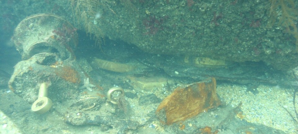 Har kartlagt hundrevis av skipsvrak rundt Island