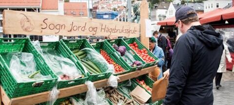 artsdatabanken fuglers grocery Fuglers Grocery and Market menu in image format shown on this website has been digitised by  Customers are free to download and save these images, but not use these digital files watermarked by the Zomato logo for any commercial purpose, without prior written permission of