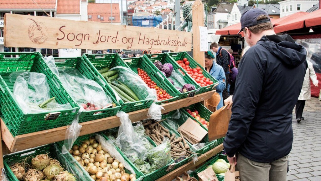 Menn er litt mindre begeistret for økologisk mat. Er du kvinne med høy inntekt og høyere utdanning, er det mer sannsynlig at du er villig til å spise og betale mer for økologisk mat. Menn er litt mindre begeistret for økologisk mat. Er du kvinne med høy inntekt og høyere utdanning, er det mer sannsynlig at du er villig til å spise og betale mer for økologisk mat.