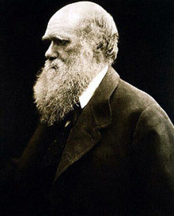 Charles Darwin fyller 200 år i år. Hans evolusjonsteori har påvirket flere enn naturvitenskapene. Charles Darwin fyller 200 år i år. Hans evolusjonsteori har påvirket flere enn naturvitenskapene.