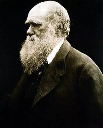 Charles Darwin fyller 200 år i år. Hans evolusjonsteori har påvirket flere enn naturvitenskapene.