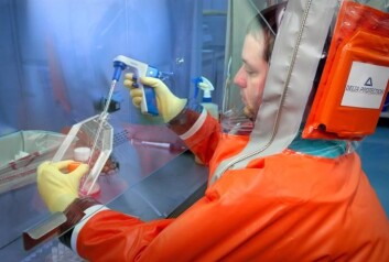 Mange influensatyper er ganske harmløse, mens noen - som fugleinfluensaen H5N1 - dreper svært mange av de som blir smittet. Dødeligheten til H7N9 er det for tidlig å si noe om. (Illustrasjonsfoto: CDC/James Gathany) Mange influensatyper er ganske harmløse, mens noen - som fugleinfluensaen H5N1 - dreper svært mange av de som blir smittet. Dødeligheten til H7N9 er det for tidlig å si noe om. (Illustrasjonsfoto: CDC/James Gathany)