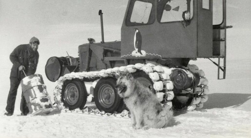 Biggen – alles kjæledegge under ekspedisjonen i Antarktis