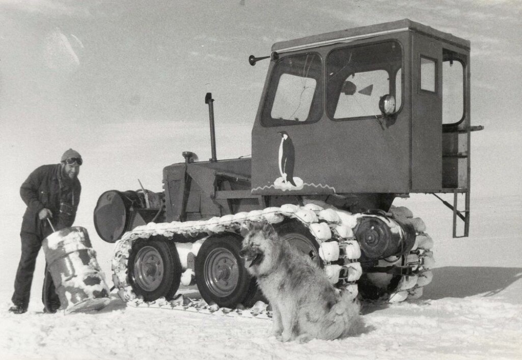 I dag er hunder strengt forbudt i Antarktis i frykt for smitterisiko ved innføring. I dag er hunder strengt forbudt i Antarktis i frykt for smitterisiko ved innføring.