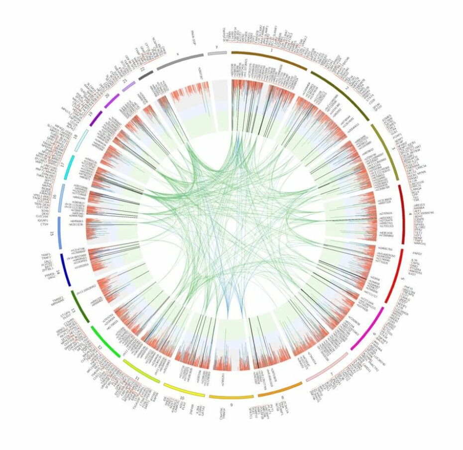Det nye genetiske kartet fra forskergruppen The International Multiple Sclerosis Genetic Consortium (IMSGC).