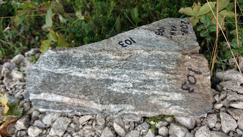 Sør for Lakselv i Finnmark ble gneisen funnet. Steinen blir knust, vasket og polert slik at forskerne kan se mineralene lettere. Sør for Lakselv i Finnmark ble gneisen funnet. Steinen blir knust, vasket og polert slik at forskerne kan se mineralene lettere.