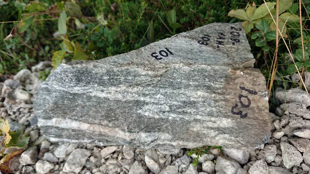 Sør for Lakselv i Finnmark ble gneisen funnet. Steinen blir knust, vasket og polert slik at forskerne kan se mineralene lettere.