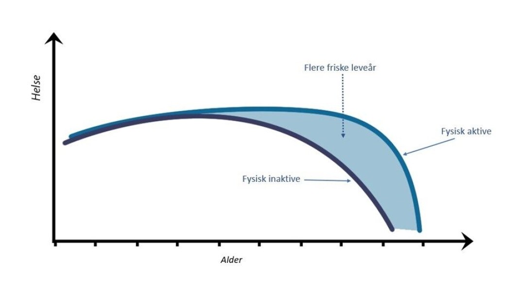 Å være fysisk aktiv gjør at du får flere leveår som frisk (blått). Mest sannsynlig lever du også lenger. Å være fysisk aktiv gjør at du får flere leveår som frisk (blått). Mest sannsynlig lever du også lenger.