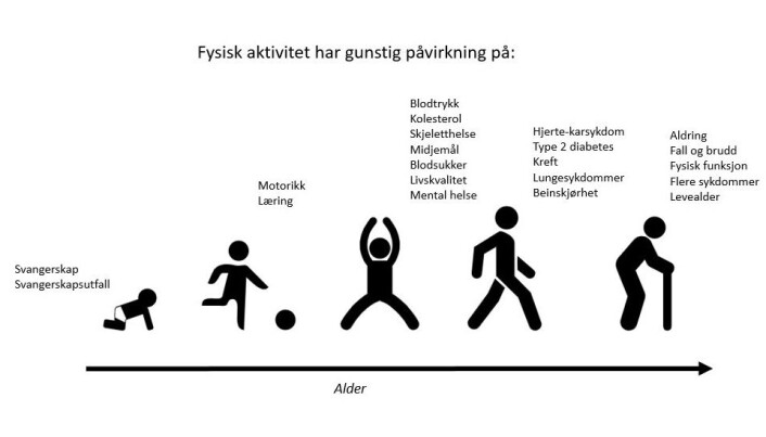 Slik kan fysisk aktivitet påvirke oss i ulike aldre. Slik kan fysisk aktivitet påvirke oss i ulike aldre.