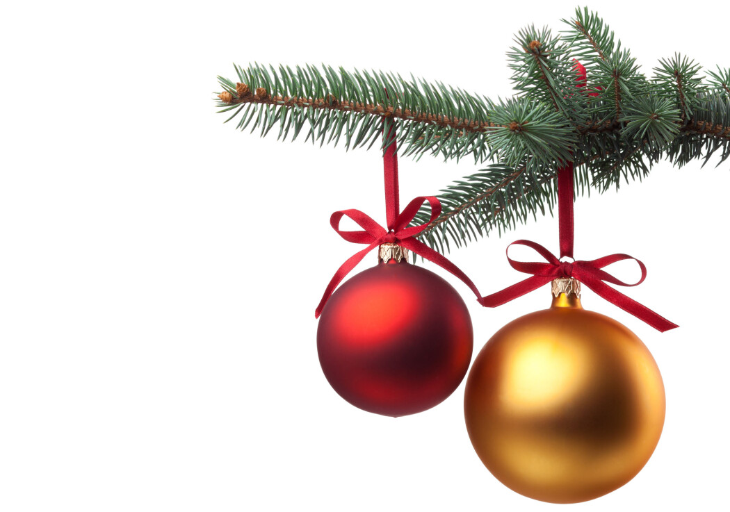 Lukta av juletre er for mange en viktig del av julestemningen. Lukta av juletre er for mange en viktig del av julestemningen.
