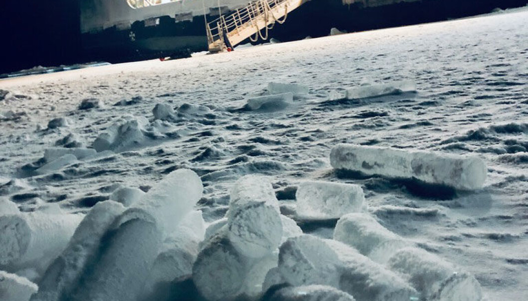 Å bore iskjerner i den mørke polarnatt er utfordrende og hardt arbeid. Iskjernene blir tatt med tilbake til laboratoriet om bord på skipet for videre analyser. Å bore iskjerner i den mørke polarnatt er utfordrende og hardt arbeid. Iskjernene blir tatt med tilbake til laboratoriet om bord på skipet for videre analyser.