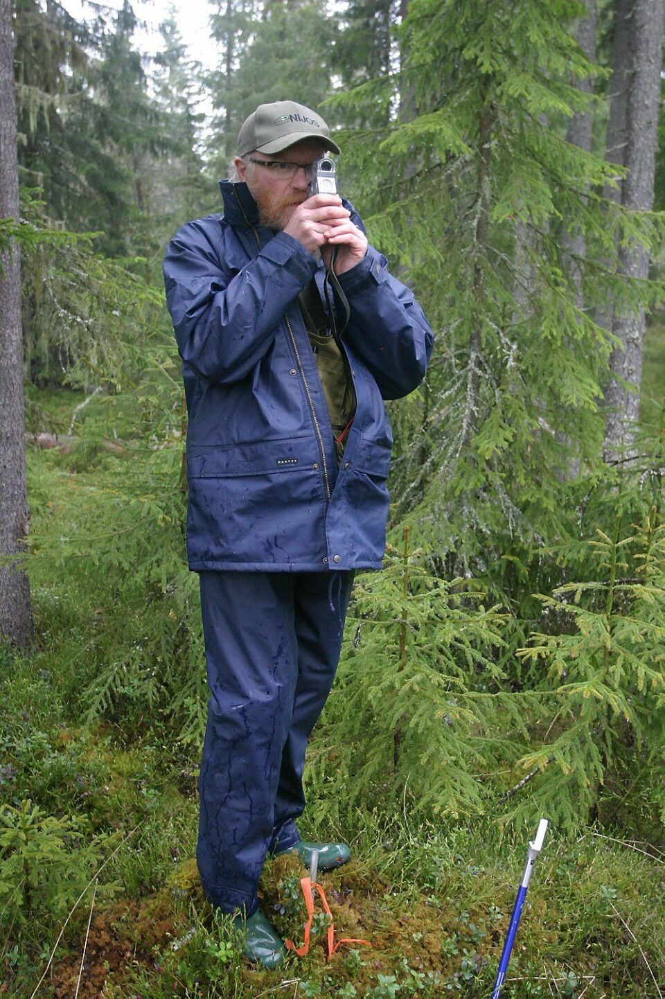 Ser skogen for bare trær - Landsskogtakseringen har helt siden 1919 telt og målt skogen i Norge.