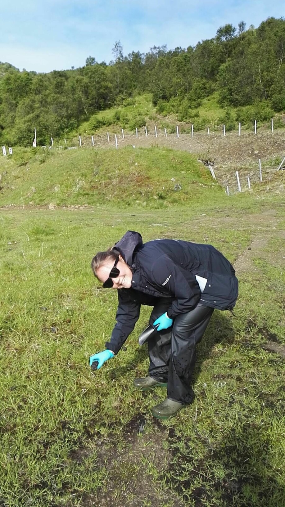 It’s a dirty job, but somebody’s gotta do it. FFI-forsker Ida Vaa Johnsen sanker sauemøkk på Melbu skytefelt sommeren 2017.