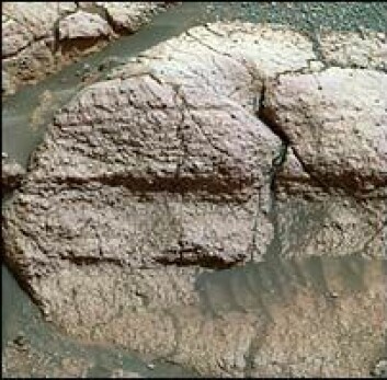 "Opportunity og søsterfartøyet Spirit er konstruert for å registrere og analysere steiner og berggrunn på Mars. Dette er et tidligere bilde tatt av Opportunity, som kan vise spor av vann på planeten. (Foto: NASA)"