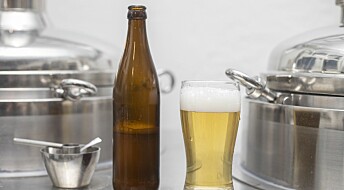 Har du smakt surøl? Forsker vil vekke liv i gamle øltradisjoner