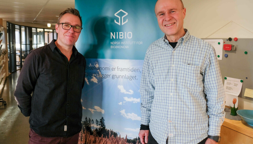 NIBIO-forskerne Geir Wæhler Gustavsen (til høyre) og Atle Wehn Hegnes har studert forholdet mellom personlighet og forbruk av økologisk mat.