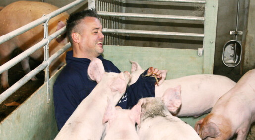 Torv i bingen gir glade griser