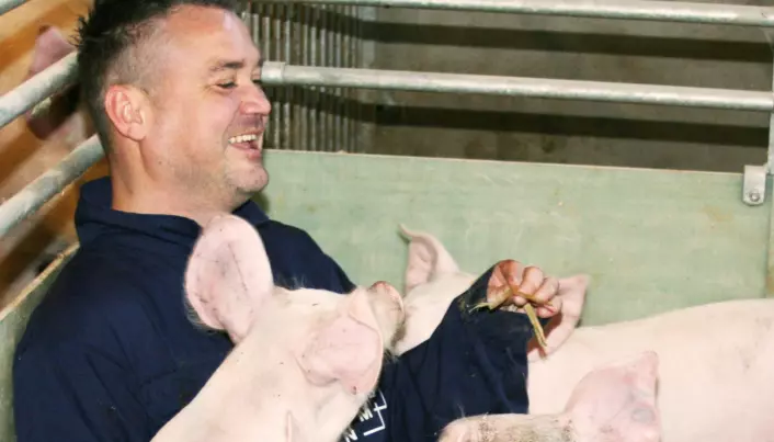 Torv i bingen gir glade griser