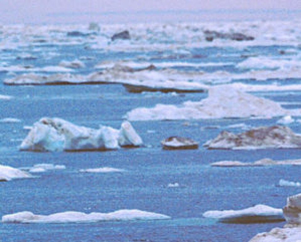 'Den økende issmeltingen i Arktis de senere årene bekymrer forskerne.'
