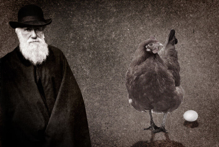 (Foto: Public domain/Colourbox (redigert)) (Foto: Public domain/Colourbox (redigert))