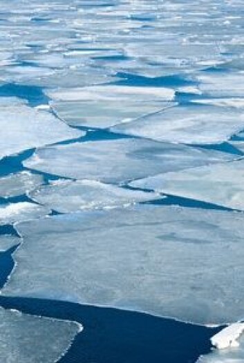 Grønlands issmelting har liten effekt på havnivået i Norge på grunn av gravitasjonseffekten. Dette burde inngått i tidligere prognoser, mener kronikkforfatteren. (Foto: (Photo: Colourbox)) Grønlands issmelting har liten effekt på havnivået i Norge på grunn av gravitasjonseffekten. Dette burde inngått i tidligere prognoser, mener kronikkforfatteren. (Foto: (Photo: Colourbox))