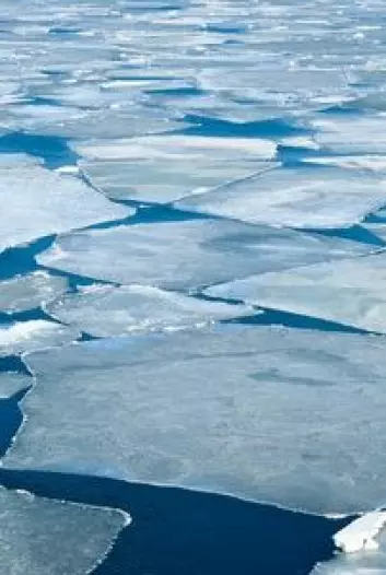 Grønlands issmelting har liten effekt på havnivået i Norge på grunn av gravitasjonseffekten. Dette burde inngått i tidligere prognoser, mener kronikkforfatteren. (Foto: (Photo: Colourbox))