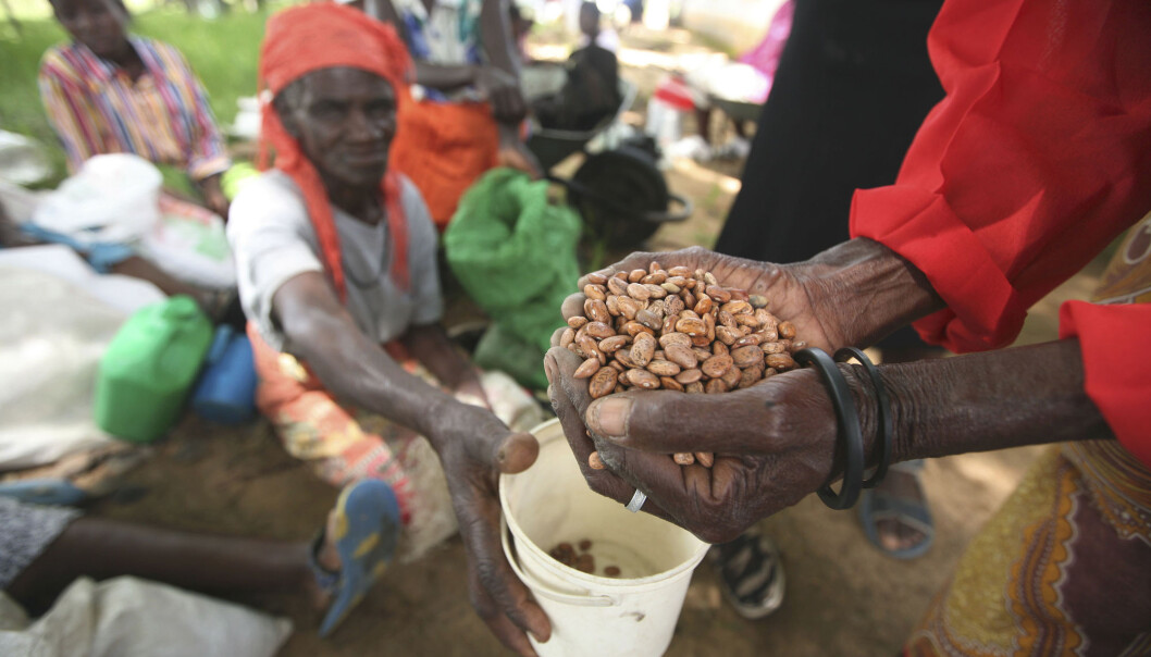 I 2009 var Zimbabwe rammet av en katastrofal tørke og økonomisk kollaps. Det førte til alvorlig sult og feilernæring blant store deler av befolkningen. Her fra et distribusjonssenter i Chirumhanzi 250 kilometer sør for hovedstaden Harare. I 2009 var Zimbabwe rammet av en katastrofal tørke og økonomisk kollaps. Det førte til alvorlig sult og feilernæring blant store deler av befolkningen. Her fra et distribusjonssenter i Chirumhanzi 250 kilometer sør for hovedstaden Harare.