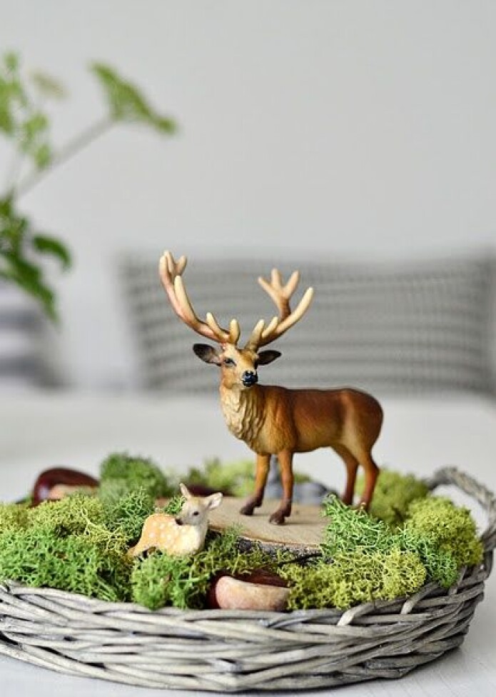 Er du ein av dei mange som gjerne pyntar til jul med det du finn ute i naturen? Du er ikkje åleine. Er du ein av dei mange som gjerne pyntar til jul med det du finn ute i naturen? Du er ikkje åleine.