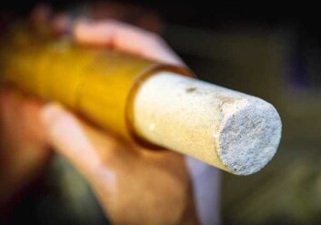 En av klodens febernedsettende piller: en porøs sandstein som finnes i rikt monn på havbunnen. (Foto: Ole Morten Melgård) En av klodens febernedsettende piller: en porøs sandstein som finnes i rikt monn på havbunnen. (Foto: Ole Morten Melgård)