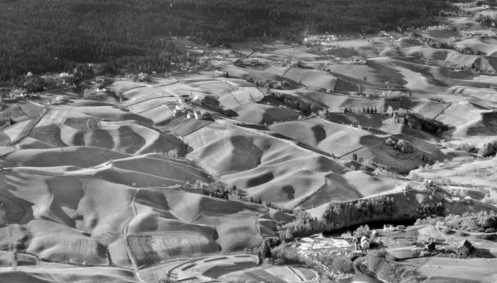 Ravinelandskap før den storstilte bakkeplaneringen - Nannestad i 1950. Området er i dag tilnærmet flatt. Livet ble enklere for bønder og utbyggere, men vi mistet noe på veien. Naturtypen ravine er i dag nesten utryddet og står dermed på Artsdatabankens rødliste.