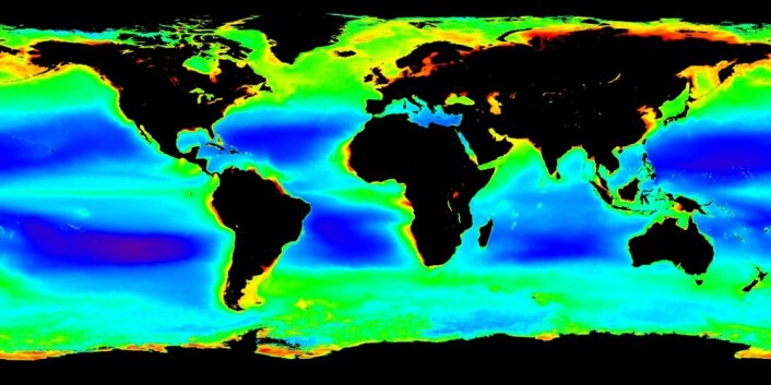 Produktiviteten i havet varierer enormt, viser kartet. I de røde områdene er det flere hundre ganger mer planteplankton per kubikkmeter vann, enn i de mørkblå områdene. (Klikk på forstørrelsesglasset for å se kartet stort.) (Foto: (NASA Ocean Color)) Produktiviteten i havet varierer enormt, viser kartet. I de røde områdene er det flere hundre ganger mer planteplankton per kubikkmeter vann, enn i de mørkblå områdene. (Klikk på forstørrelsesglasset for å se kartet stort.) (Foto: (NASA Ocean Color))