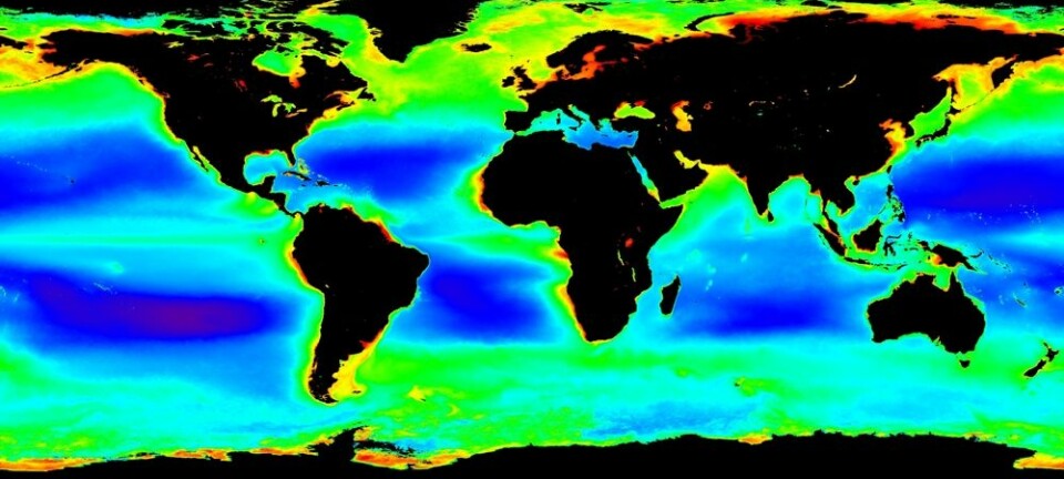Produktiviteten i havet varierer enormt, viser kartet. I de røde områdene er det flere hundre ganger mer planteplankton per kubikkmeter vann, enn i de mørkblå områdene. (Klikk på forstørrelsesglasset for å se kartet stort.) (NASA Ocean Color)